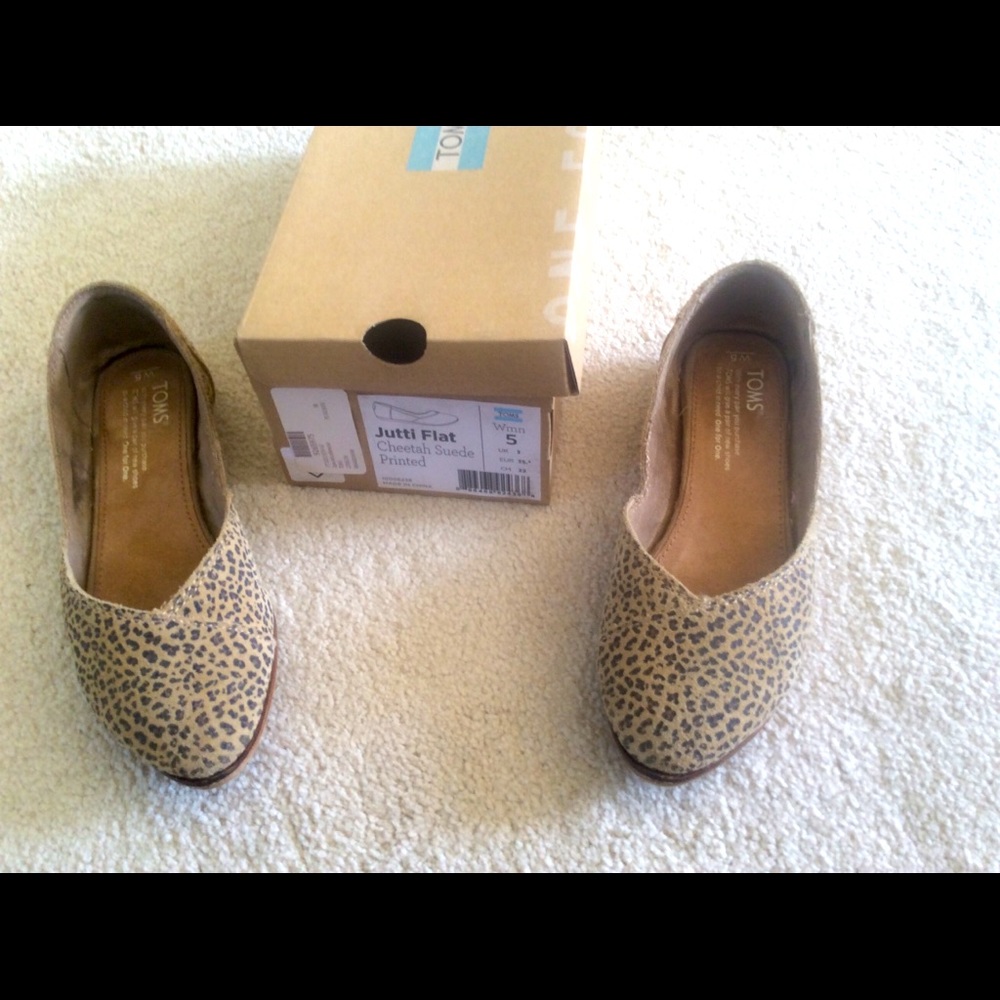 Toms flat